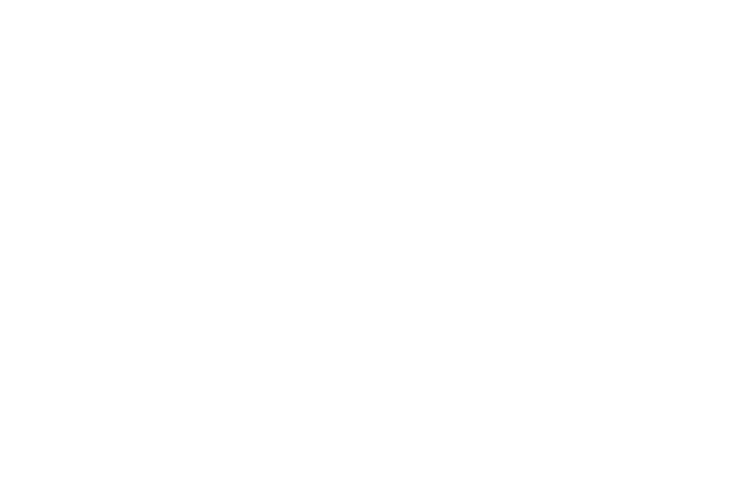 Prime Data Strategy